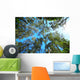 Tree Canopy