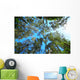 Tree Canopy