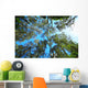 Tree Canopy