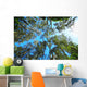 Tree Canopy