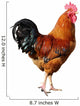 Red Rooster Cock Wall Decal