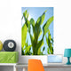 Corn Field Wall Decal Design 1