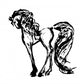 sketching of the horse Wall Decal