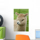 Baby Alpaca Wall Mural