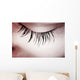 Great Eye Macro Wall Mural