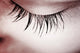 Great Eye Macro Wall Mural