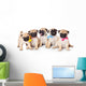 Five Puppies of Pug Wall Decal
