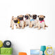Five Puppies of Pug Wall Decal