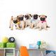 Five Puppies of Pug Wall Decal