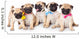 Five Puppies of Pug Wall Decal