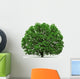 oak tree isolated Wall Decal