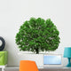 oak tree isolated Wall Decal