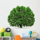 oak tree isolated Wall Decal