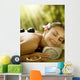 Spa outdoor.Stone Massage Wall Mural