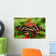 Zebra Longwing Butterfly Wall Mural