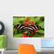 Zebra Longwing Butterfly Wall Mural