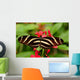 Zebra Longwing Butterfly Wall Mural