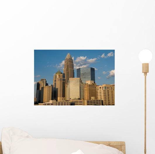 Downtown Charlotte Wall Mural