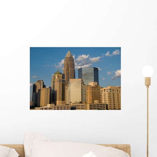 Downtown Charlotte Wall Mural