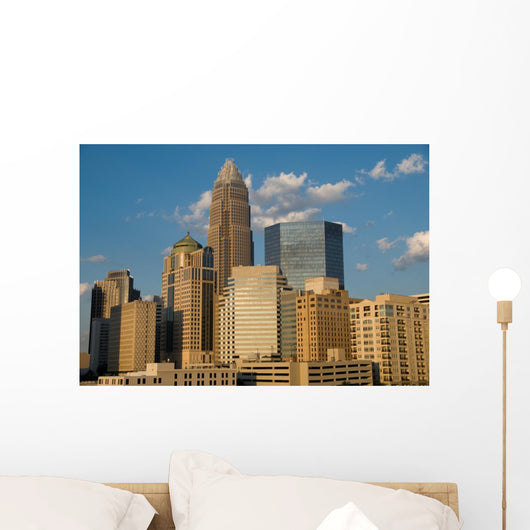 Downtown Charlotte Wall Mural