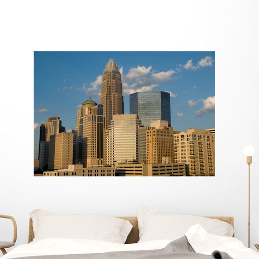 Downtown Charlotte Wall Mural