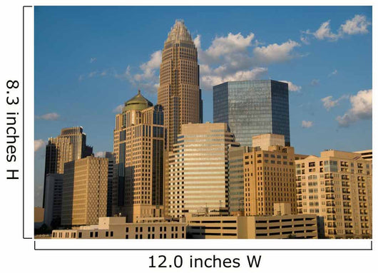 Downtown Charlotte Wall Mural