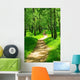 Green Forest Wall Decal