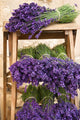Lavender Bunches Wall Mural