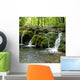 Moss Fall Wall Decal
