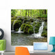 Moss Fall Wall Decal