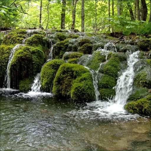 Moss Fall Wall Decal