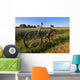 Old Bike Wall Mural