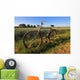 Old Bike Wall Mural