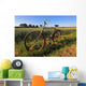 Old Bike Wall Mural