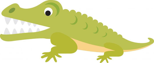 Crocodile or Alligator