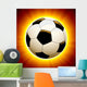Vector Soccer Ball Wall Mural