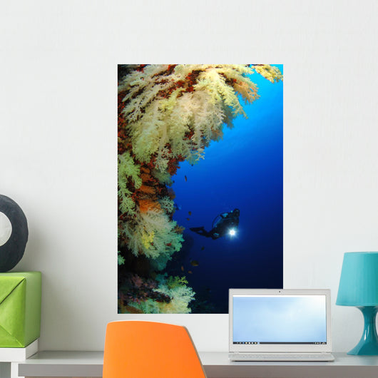 Diver Wall Mural