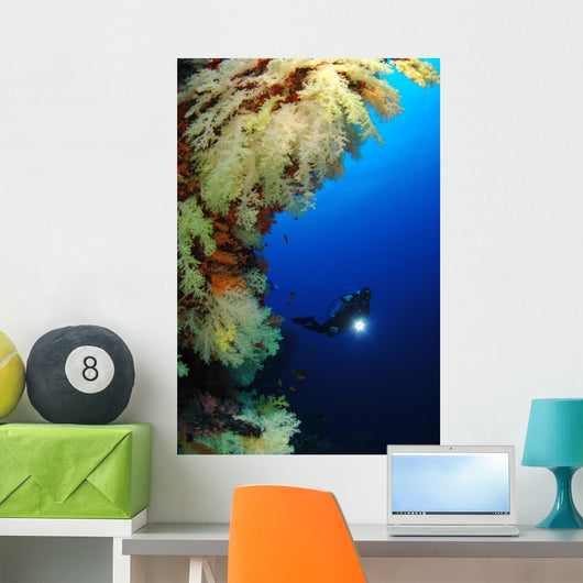Diver Wall Mural