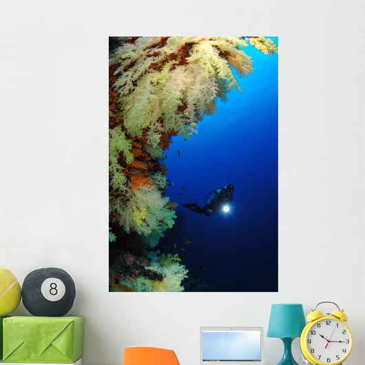 Diver Wall Mural
