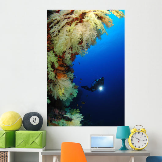 Diver Wall Mural