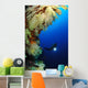 Diver Wall Mural