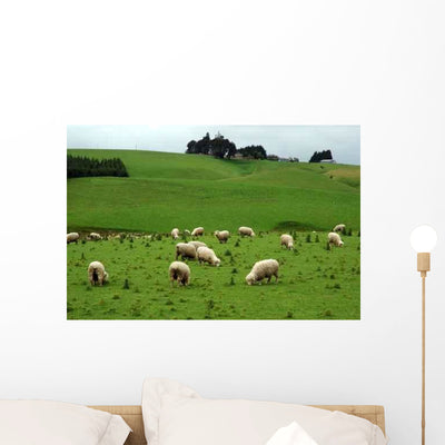 Sheep Wall Decal shown on a wall
