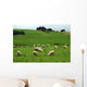 Sheep Wall Decal