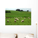 Sheep Wall Decal