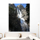 Falls Wall Mural