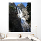 Falls Wall Mural