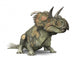 Albertaceratops Wall Decal
