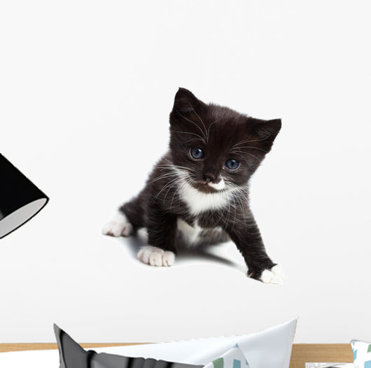 Kitten Wall Decal