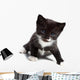 Kitten Wall Decal