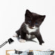 Kitten Wall Decal